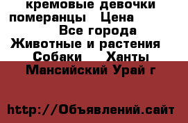 кремовые девочки померанцы › Цена ­ 30 000 - Все города Животные и растения » Собаки   . Ханты-Мансийский,Урай г.